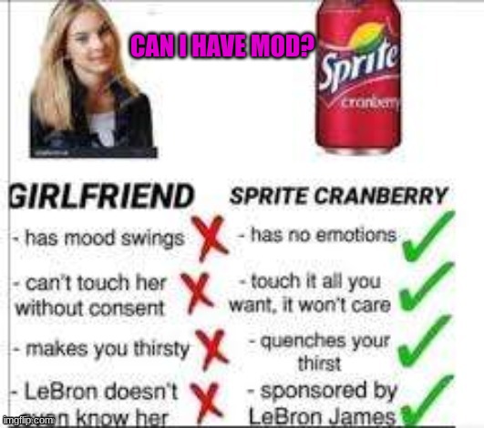 CAN I HAVE MOD? | made w/ Imgflip meme maker