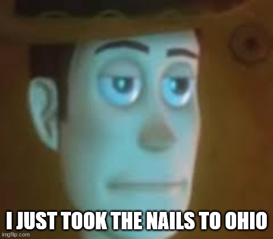 disappointed woody | I JUST TOOK THE NAILS TO OHIO | image tagged in disappointed woody | made w/ Imgflip meme maker