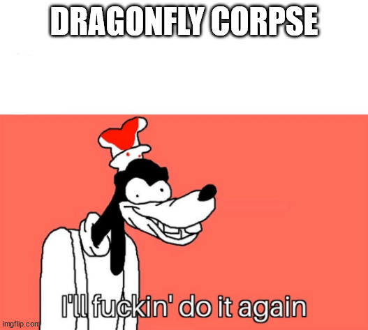 I'll do it again | DRAGONFLY CORPSE | image tagged in i'll do it again | made w/ Imgflip meme maker