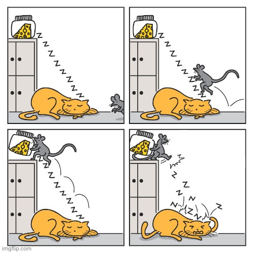 Cheese rat | image tagged in cheese,rat,rats,cat,comics,comics/cartoons | made w/ Imgflip meme maker