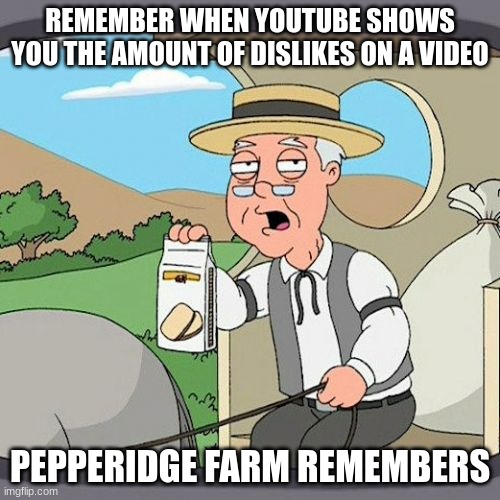 Pepperidge Farm Remembers | REMEMBER WHEN YOUTUBE SHOWS YOU THE AMOUNT OF DISLIKES ON A VIDEO; PEPPERIDGE FARM REMEMBERS | image tagged in memes,pepperidge farm remembers,funny,youtube | made w/ Imgflip meme maker