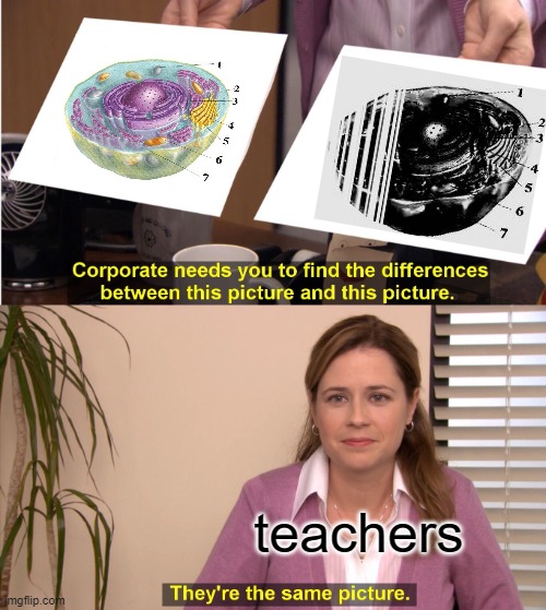 Teachers... | teachers | image tagged in memes,they're the same picture | made w/ Imgflip meme maker