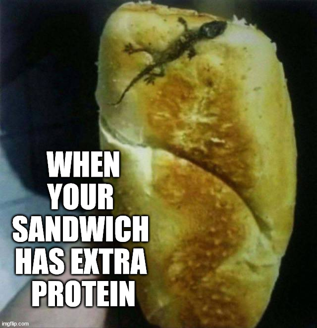 WHEN YOUR 
SANDWICH 
HAS EXTRA 
PROTEIN | image tagged in gross | made w/ Imgflip meme maker