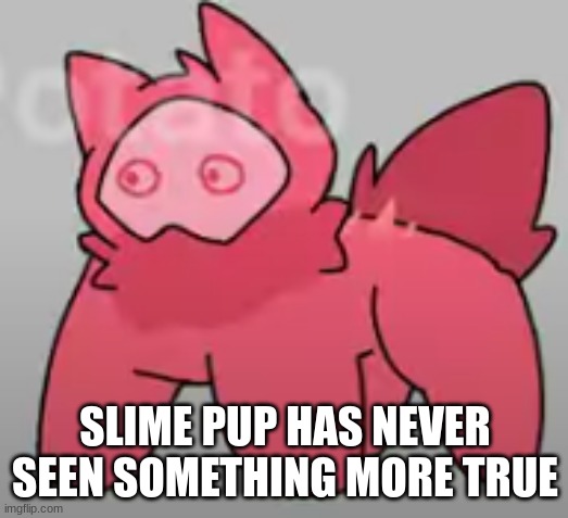 E Y E S O P E N | SLIME PUP HAS NEVER SEEN SOMETHING MORE TRUE | image tagged in e y e s o p e n | made w/ Imgflip meme maker