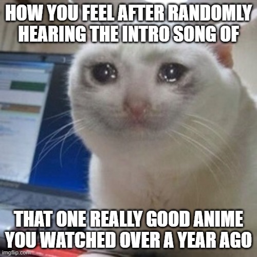 nostalgia really brings out the ultimate tears of joy | HOW YOU FEEL AFTER RANDOMLY HEARING THE INTRO SONG OF; THAT ONE REALLY GOOD ANIME YOU WATCHED OVER A YEAR AGO | image tagged in crying cat | made w/ Imgflip meme maker