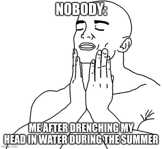 :) | NOBODY:; ME AFTER DRENCHING MY HEAD IN WATER DURING THE SUMMER | image tagged in satisfaction | made w/ Imgflip meme maker