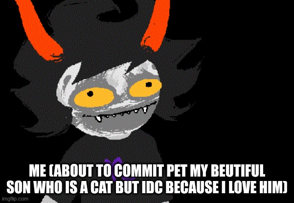 ME (ABOUT TO COMMIT PET MY BEUTIFUL SON WHO IS A CAT BUT IDC BECAUSE I LOVE HIM) | image tagged in homestuck | made w/ Imgflip meme maker