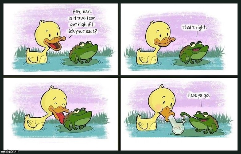 Lick back | image tagged in frog,repost,duck,high | made w/ Imgflip meme maker