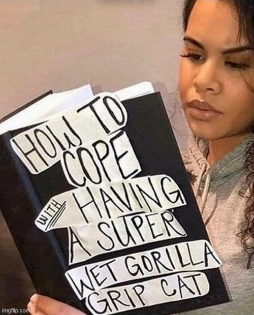 Wet gorilla grip cat | image tagged in pussy,repost,funny,cat,sex | made w/ Imgflip meme maker