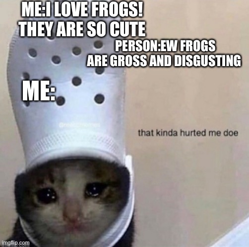 Frogs are cool | ME:I LOVE FROGS! THEY ARE SO CUTE; PERSON:EW FROGS ARE GROSS AND DISGUSTING; ME: | image tagged in froggy,funny,why | made w/ Imgflip meme maker