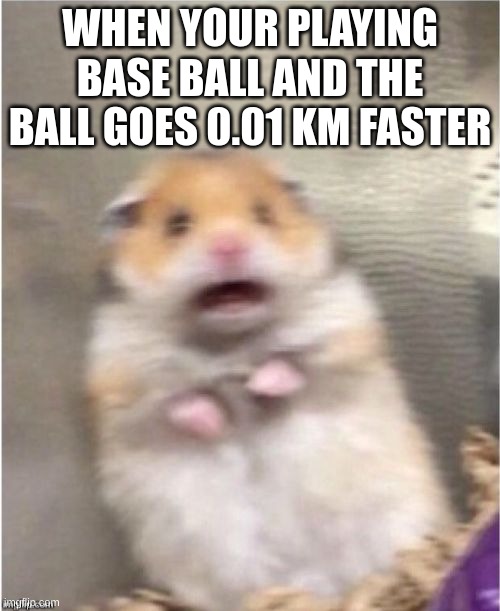 this happened to me | WHEN YOUR PLAYING BASE BALL AND THE BALL GOES 0.01 KM FASTER | image tagged in scared hamster,baseball | made w/ Imgflip meme maker