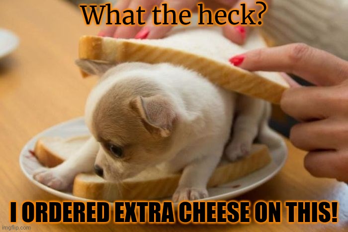 They messed up my order. Again. | What the heck? I ORDERED EXTRA CHEESE ON THIS! | image tagged in extra cheese,wheres my pizza,doge,fast food | made w/ Imgflip meme maker