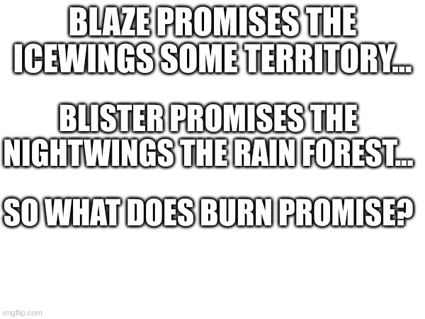 this is a spoiler so only read if done with book 4 | BLAZE PROMISES THE ICEWINGS SOME TERRITORY... BLISTER PROMISES THE NIGHTWINGS THE RAIN FOREST... SO WHAT DOES BURN PROMISE? | image tagged in look,at,these,tags | made w/ Imgflip meme maker