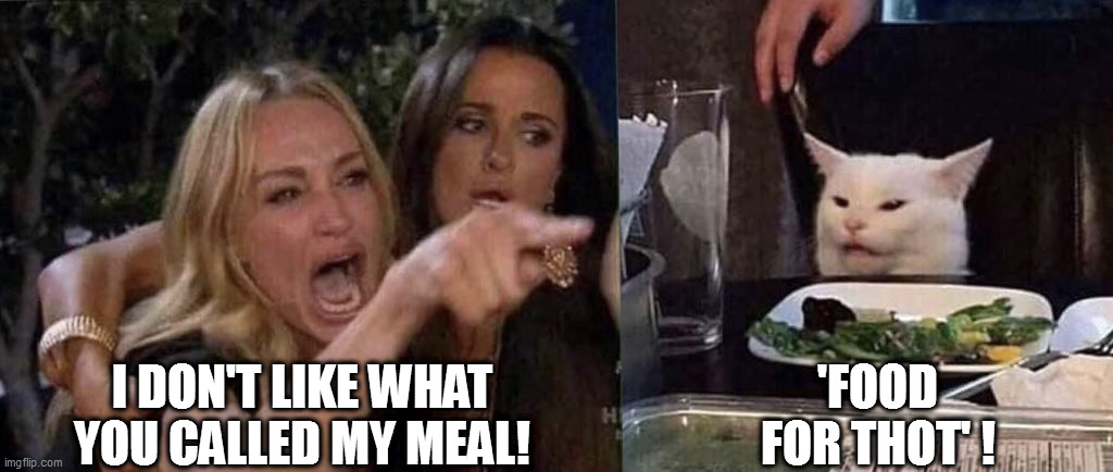 woman yelling at cat | I DON'T LIKE WHAT YOU CALLED MY MEAL! 'FOOD FOR THOT' ! | image tagged in woman yelling at cat | made w/ Imgflip meme maker