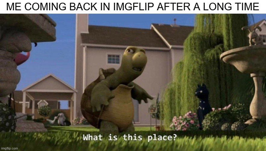 yes i haven't posted in some weeks or months | ME COMING BACK IN IMGFLIP AFTER A LONG TIME | image tagged in what is this place | made w/ Imgflip meme maker