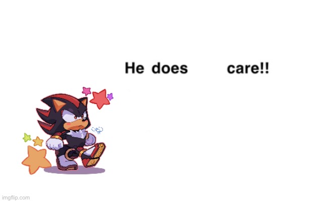 shadow he does not care | image tagged in shadow he does not care | made w/ Imgflip meme maker