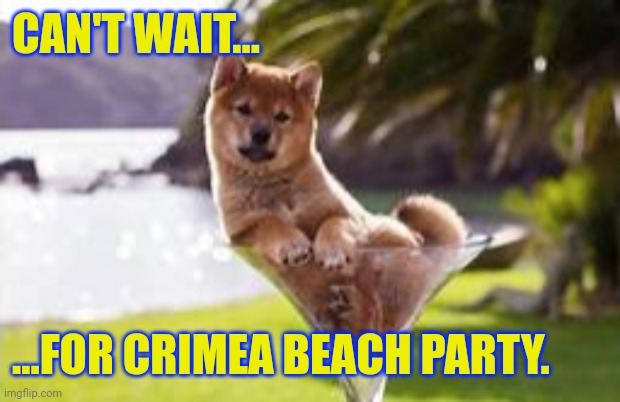 Can't wait | CAN'T WAIT... ...FOR CRIMEA BEACH PARTY. | image tagged in margarita shiba inu,crimea beach party,support ukraine | made w/ Imgflip meme maker