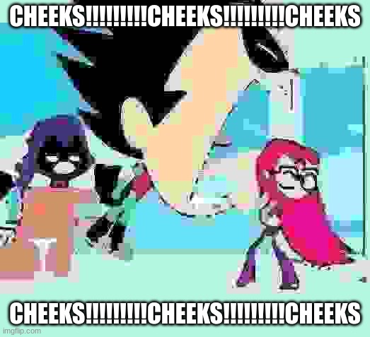 nooooooooooooooooOOOOOOOOOOOOOOOOOOOOOOOOOOOOOOo | CHEEKS!!!!!!!!!CHEEKS!!!!!!!!!CHEEKS; CHEEKS!!!!!!!!!CHEEKS!!!!!!!!!CHEEKS | image tagged in robin yelling at starfire | made w/ Imgflip meme maker