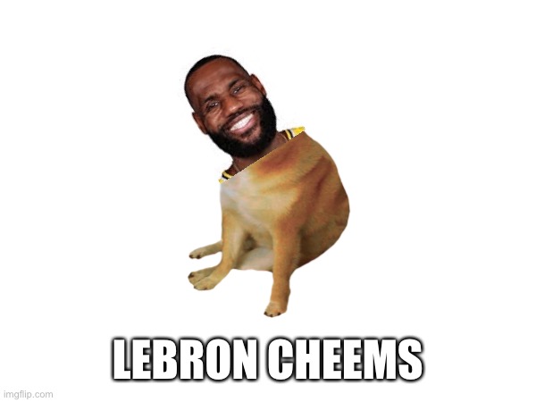 Lebron Cheems | LEBRON CHEEMS | image tagged in lebron james,cheems | made w/ Imgflip meme maker
