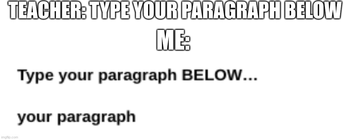TEACHER: TYPE YOUR PARAGRAPH BELOW; ME: | image tagged in what | made w/ Imgflip meme maker