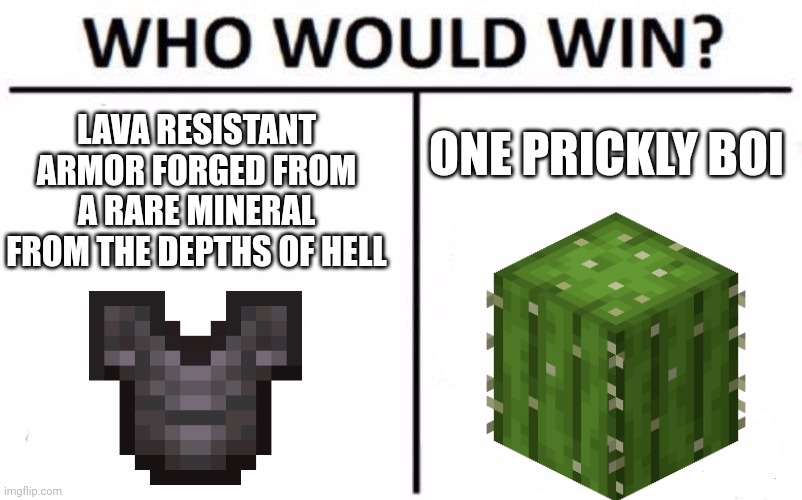 Netherite vs. Cactus | LAVA RESISTANT ARMOR FORGED FROM A RARE MINERAL FROM THE DEPTHS OF HELL; ONE PRICKLY BOI | image tagged in memes,who would win | made w/ Imgflip meme maker