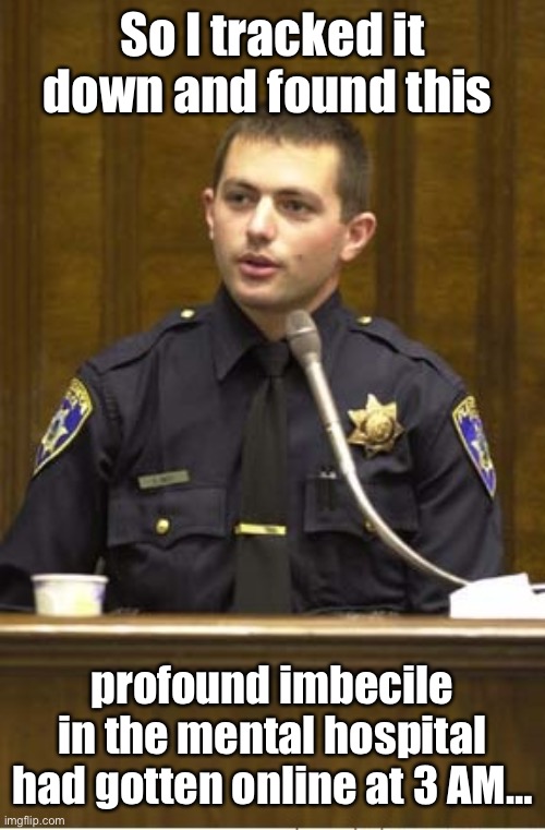 Police Officer Testifying Meme | So I tracked it down and found this profound imbecile in the mental hospital had gotten online at 3 AM… | image tagged in memes,police officer testifying | made w/ Imgflip meme maker