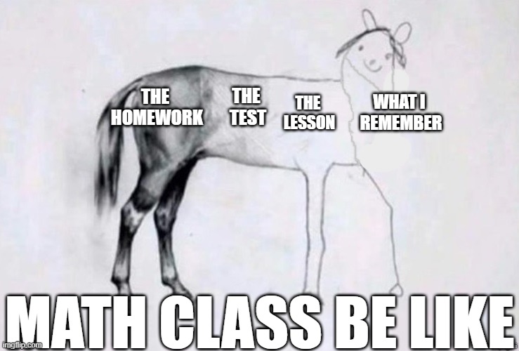 Horse Drawing | THE 
HOMEWORK; THE 
TEST; WHAT I 
REMEMBER; THE 
LESSON; MATH CLASS BE LIKE | image tagged in horse drawing | made w/ Imgflip meme maker