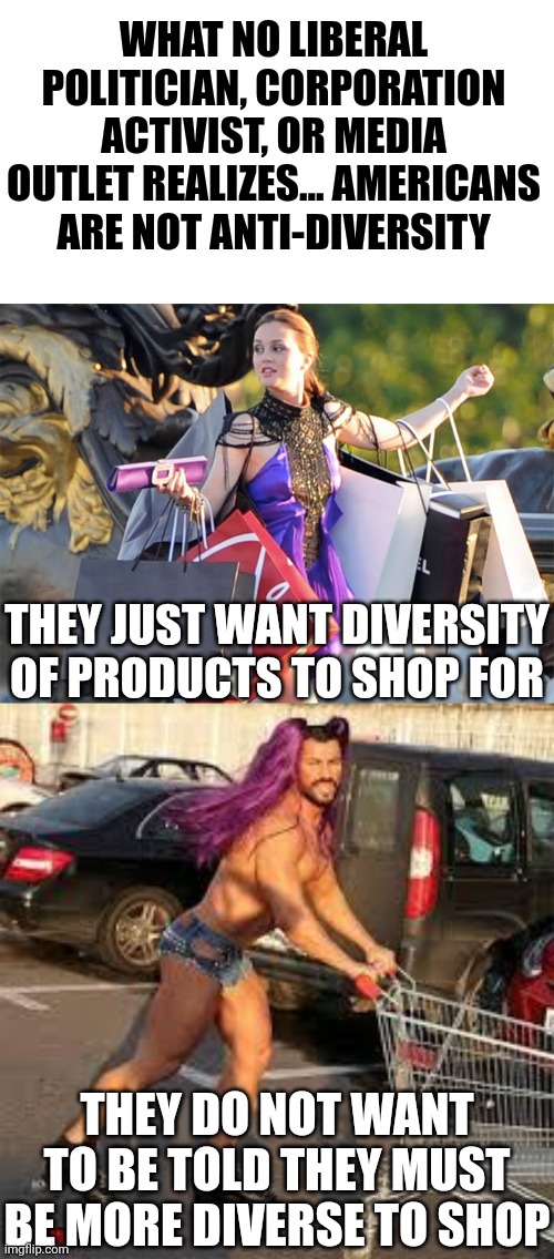 This is probably the clearest explanation for the left-wing diversity insanity wrecking the country | WHAT NO LIBERAL POLITICIAN, CORPORATION ACTIVIST, OR MEDIA OUTLET REALIZES... AMERICANS ARE NOT ANTI-DIVERSITY; THEY JUST WANT DIVERSITY OF PRODUCTS TO SHOP FOR; THEY DO NOT WANT TO BE TOLD THEY MUST BE MORE DIVERSE TO SHOP | image tagged in diversity,liberal logic,reality is often dissapointing,democrats,it's a wonderful life,baby insanity wolf | made w/ Imgflip meme maker