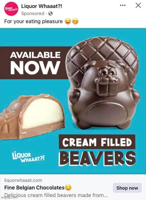 Cream filled beavers | image tagged in pussy,repost,creampie,beavers,candy,funny | made w/ Imgflip meme maker