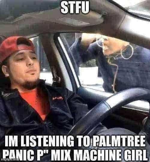 this be fire fr | STFU; IM LISTENING TO PALMTREE PANIC P'' MIX MACHINE GIRL | image tagged in fire,get real,palmtree panic | made w/ Imgflip meme maker
