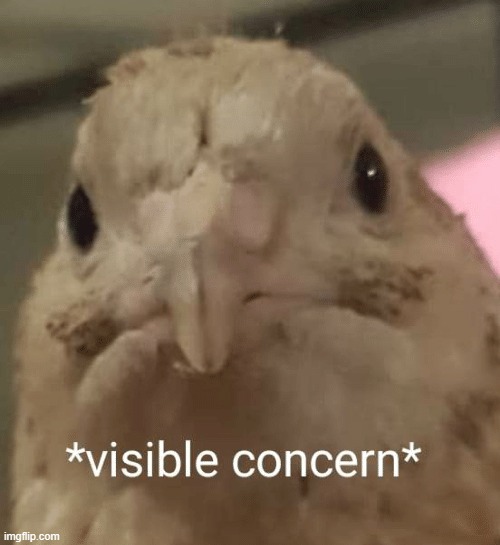 visible concern bird | image tagged in visible concern bird | made w/ Imgflip meme maker