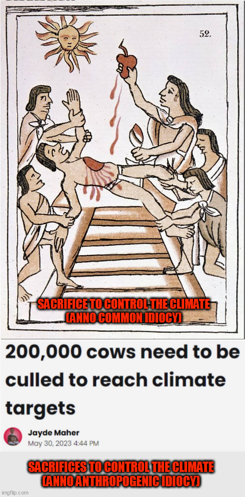 Using sacrifice to control the climate is an idea which has been popular with governments for centuries | SACRIFICE TO CONTROL THE CLIMATE
(ANNO COMMON IDIOCY); SACRIFICES TO CONTROL THE CLIMATE
(ANNO ANTHROPOGENIC IDIOCY) | made w/ Imgflip meme maker