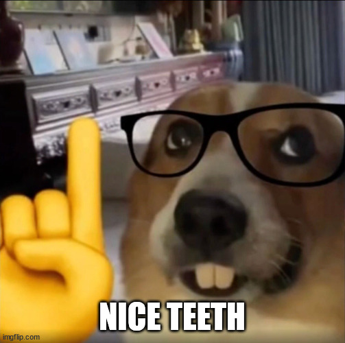 Dog teeth pointing upwards | NICE TEETH | image tagged in dog teeth pointing upwards | made w/ Imgflip meme maker
