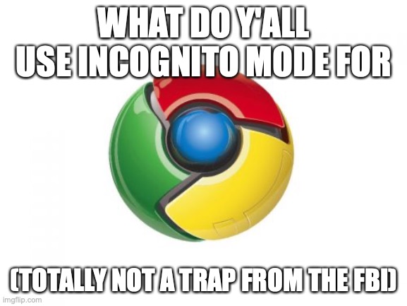 Google Chrome | WHAT DO Y'ALL USE INCOGNITO MODE FOR; (TOTALLY NOT A TRAP FROM THE FBI) | image tagged in memes,google chrome | made w/ Imgflip meme maker