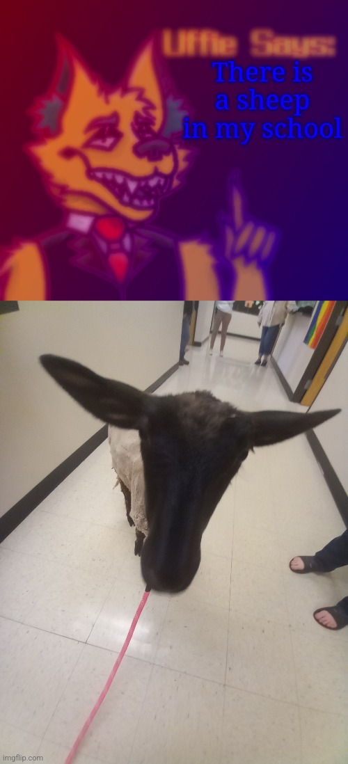 Real | There is a sheep in my school | image tagged in uffie says | made w/ Imgflip meme maker