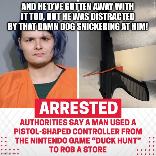 Nintendo Gun | AND HE’D’VE GOTTEN AWAY WITH IT TOO, BUT HE WAS DISTRACTED BY THAT DAMN DOG SNICKERING AT HIM! | image tagged in funny | made w/ Imgflip meme maker