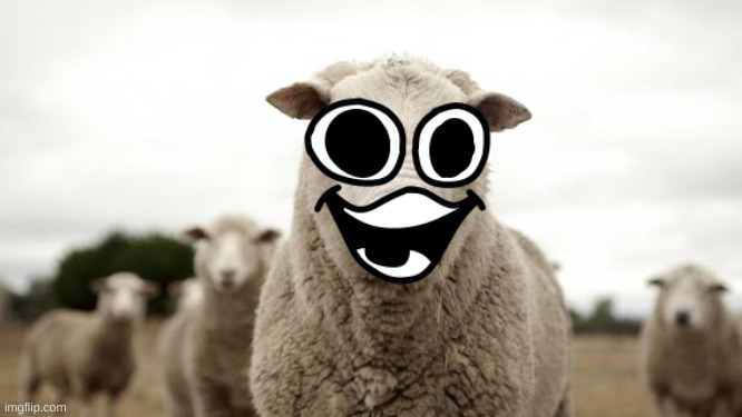 Sheep | image tagged in sheep | made w/ Imgflip meme maker