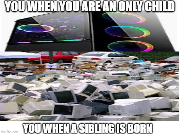 its true | YOU WHEN YOU ARE AN ONLY CHILD; YOU WHEN A SIBLING IS BORN | image tagged in pc gaming | made w/ Imgflip meme maker