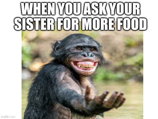 hahahaha | WHEN YOU ASK YOUR SISTER FOR MORE FOOD | image tagged in funny memes | made w/ Imgflip meme maker