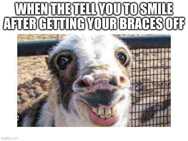 hahahaha | WHEN THE TELL YOU TO SMILE AFTER GETTING YOUR BRACES OFF | image tagged in funny memes | made w/ Imgflip meme maker