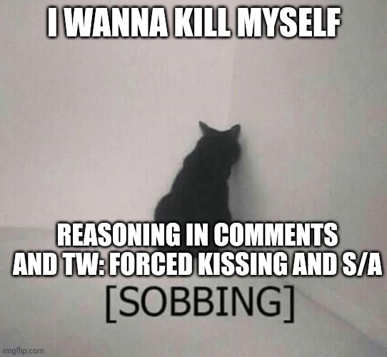 I wanna kill myself so bad | I WANNA KILL MYSELF; REASONING IN COMMENTS AND TW: FORCED KISSING AND S/A | image tagged in sobbing cat | made w/ Imgflip meme maker