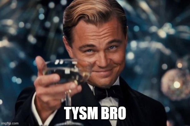 Leonardo Dicaprio Cheers Meme | TYSM BRO | image tagged in memes,leonardo dicaprio cheers | made w/ Imgflip meme maker