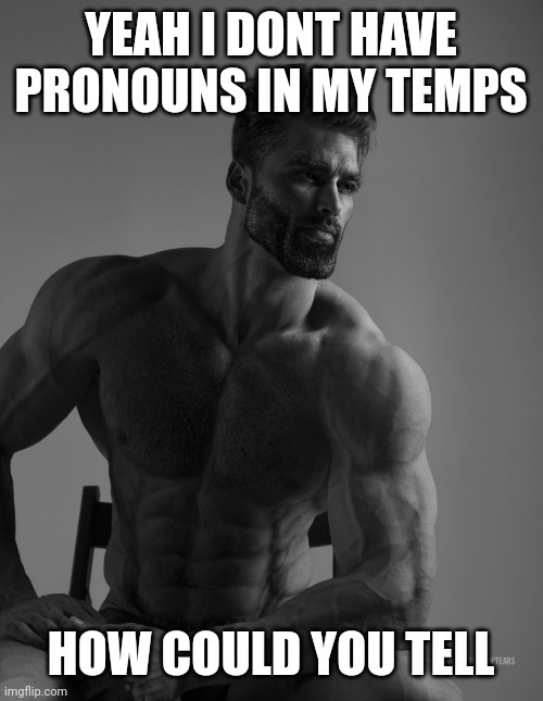 Giga Chad | YEAH I DONT HAVE PRONOUNS IN MY TEMPS; HOW COULD YOU TELL | image tagged in giga chad | made w/ Imgflip meme maker