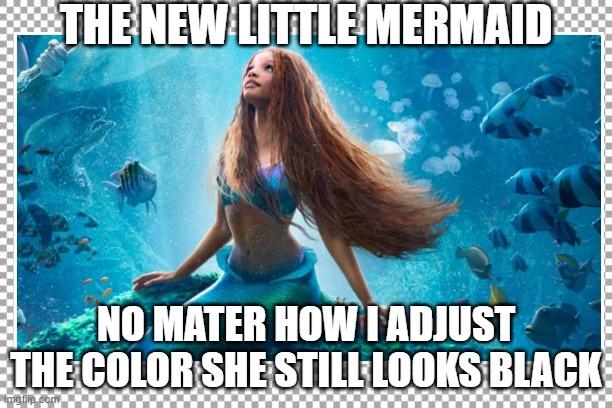 No matter how I adjust the color, she still looks black? | THE NEW LITTLE MERMAID; NO MATER HOW I ADJUST THE COLOR SHE STILL LOOKS BLACK | image tagged in the new little mermaid | made w/ Imgflip meme maker