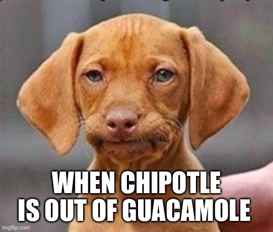 #MyStruggles | WHEN CHIPOTLE IS OUT OF GUACAMOLE | image tagged in frustrated dog,chipotle,funny,meme | made w/ Imgflip meme maker
