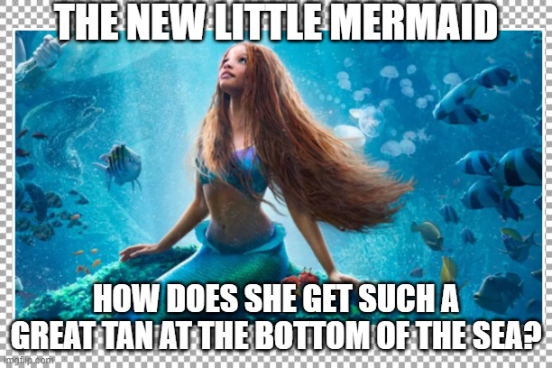 How does she get such a great tan at the bottom of the sea? | THE NEW LITTLE MERMAID; HOW DOES SHE GET SUCH A GREAT TAN AT THE BOTTOM OF THE SEA? | image tagged in the little mermaid | made w/ Imgflip meme maker