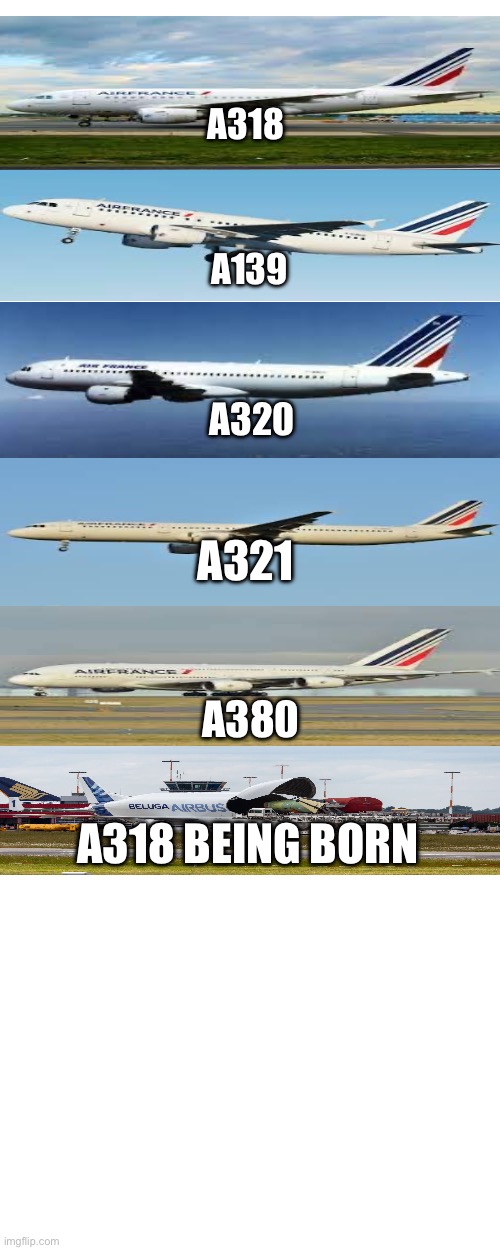 Plane life cycle | A318; A139; A320; A321; A380; A318 BEING BORN | image tagged in aviation,airplanes | made w/ Imgflip meme maker