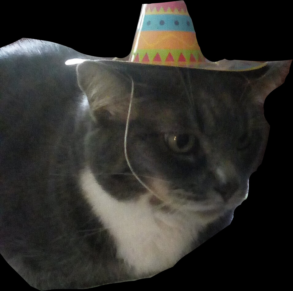 High Quality Party cat Blank Meme Template