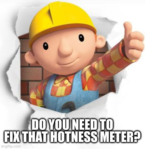 Bob the builder | DO YOU NEED TO FIX THAT HOTNESS METER? | image tagged in bob the builder | made w/ Imgflip meme maker