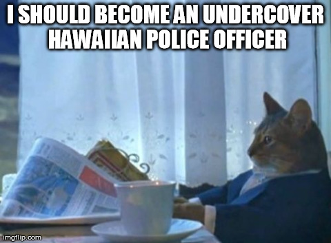 I Should Buy A Boat Cat Meme | I SHOULD BECOME AN UNDERCOVER HAWAIIAN POLICE OFFICER | image tagged in memes,i should buy a boat cat,AdviceAnimals | made w/ Imgflip meme maker